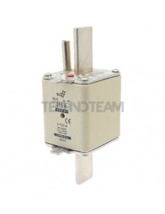 Fuse NH2 gG 500V with striker 160A